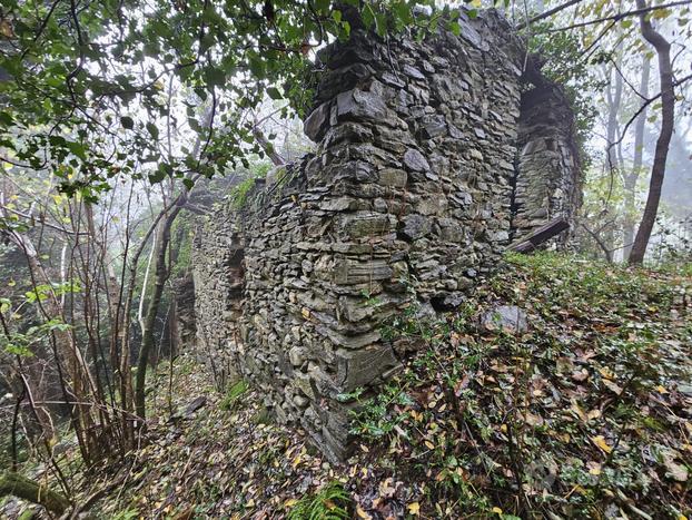 Bosco ceduo con 2 rustici sopra Luino