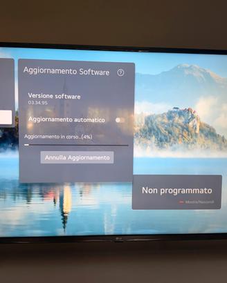 LG smart tv 50UP75003LF (no spedizione) leggi bene