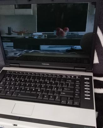 Toshiba Satellite Pro L300