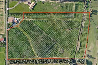 Terreno Agricolo Castiadas [Cod. rif 3296879VRG]