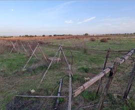 Terreno agricolo in agro di Pulsano zona Filaccia