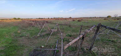 Terreno agricolo in agro di Pulsano zona Filaccia