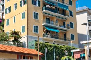 Relax, mare & comfort a 4 zampe