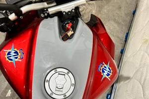 Mv agusta brutale rr 800