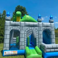 Gioco Gonfiabile Professionale 
