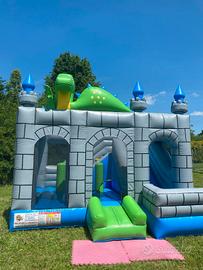 Gioco Gonfiabile Professionale 