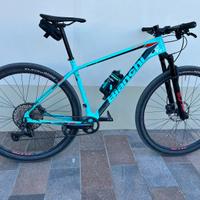 Bianchi mountain bike