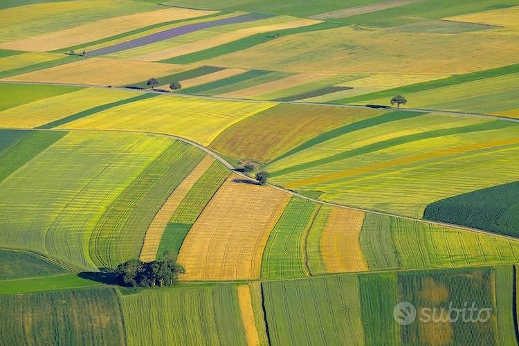 Rif.2137| terreno agricolo chioggia - Vista 2