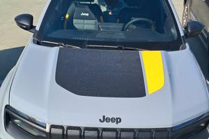 Jeep avenger north face