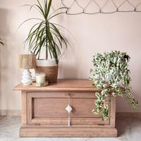 Cassapanca in legno  “Aurora” | pezzo unico