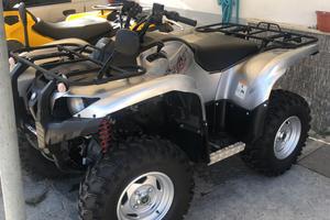Yamaha grizzly 700 special edition