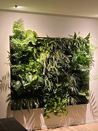 Struttura giardino verticale professionale