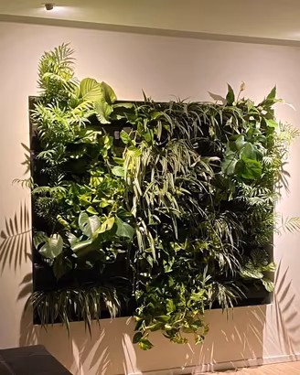 Struttura giardino verticale professionale