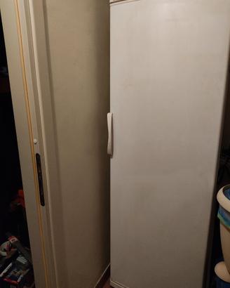 Freezer verticale Wega White 279L – Classe A