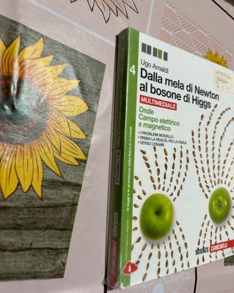 Dalla mela di Newton al bosone di higgs 4