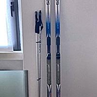 SALOMON SCI DA FONDO