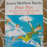 Peter Pan e Wendy giardini Kensington libro Barrie