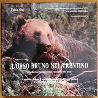 L'ORSO BRUNO NEL TRENTINO. Fabio Osti - Ed. ARCA