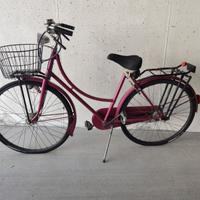 Bicicletta donna Holland