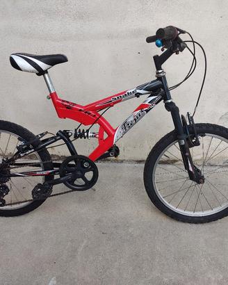 bicicletta 