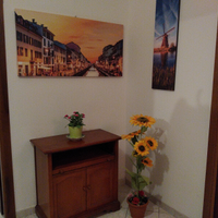 Singola uomo mm2 cologno sud