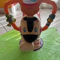 Zebra saltella e gira