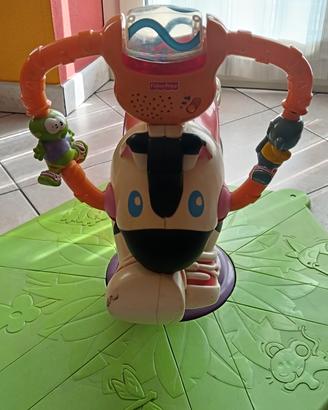 Zebra saltella e gira