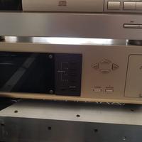 Accuphase DG-28 Full Optionals