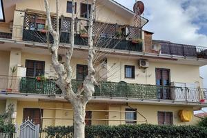 3 LOCALI A LADISPOLI