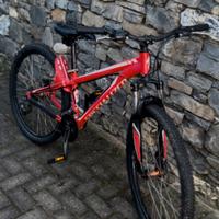 Bici MTB specialized