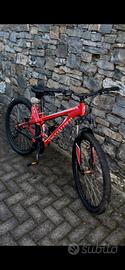 Bici MTB specialized
