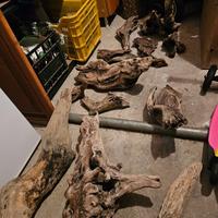 Legno spiaggiato di mare