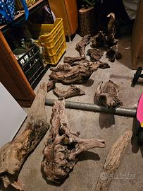 Legno spiaggiato di mare