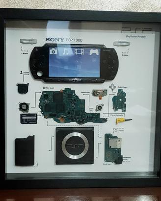 psp 1000 in quadro 3d