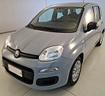 fiat-panda-ibrido