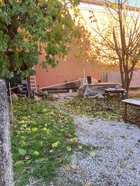 Di nuovo disponibile