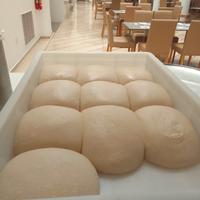 Pizzaiolo