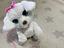 Immagine 3