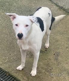 Willow spera che la sua vita cambi