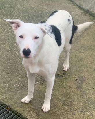 Willow spera che la sua vita cambi