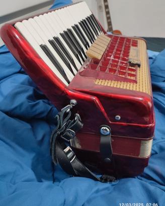Fisarmonica scandalli 