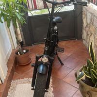 Bicicletta a pedalata Assistita