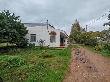 Villa con azienda agricola avviata