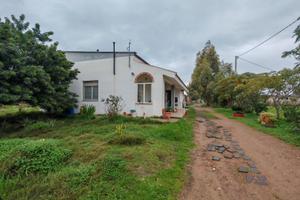 Villa con azienda agricola avviata