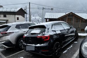VOLKSWAGEN Polo 2.0 TSI DSG GTI