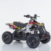 mini quad Miniquad  REPTY ES – M3ES-R6 49cc