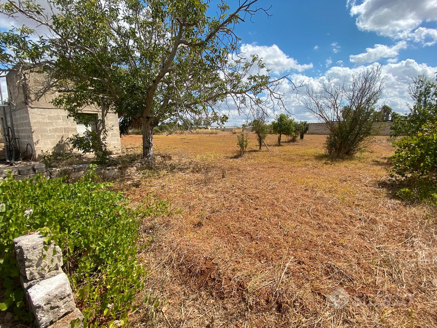 Terreno in agro di veglie interno circonvallazione - Vista 4