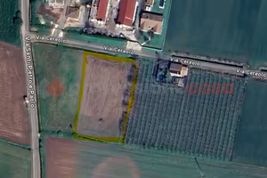 Terreno Agricolo Cologna Veneta