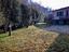 Immagine 12