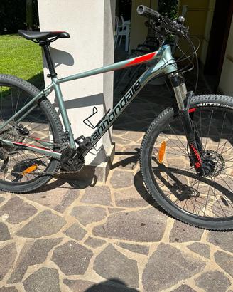 MTB Cannondale